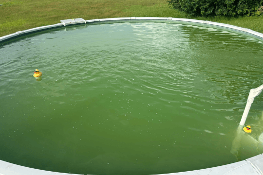 Green Pool